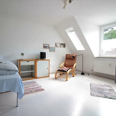Bright Cityapartment - Old Mainbridge