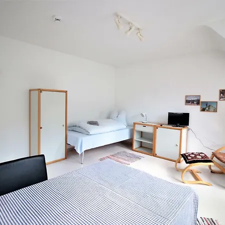 Bright Cityapartment - Old Mainbridge